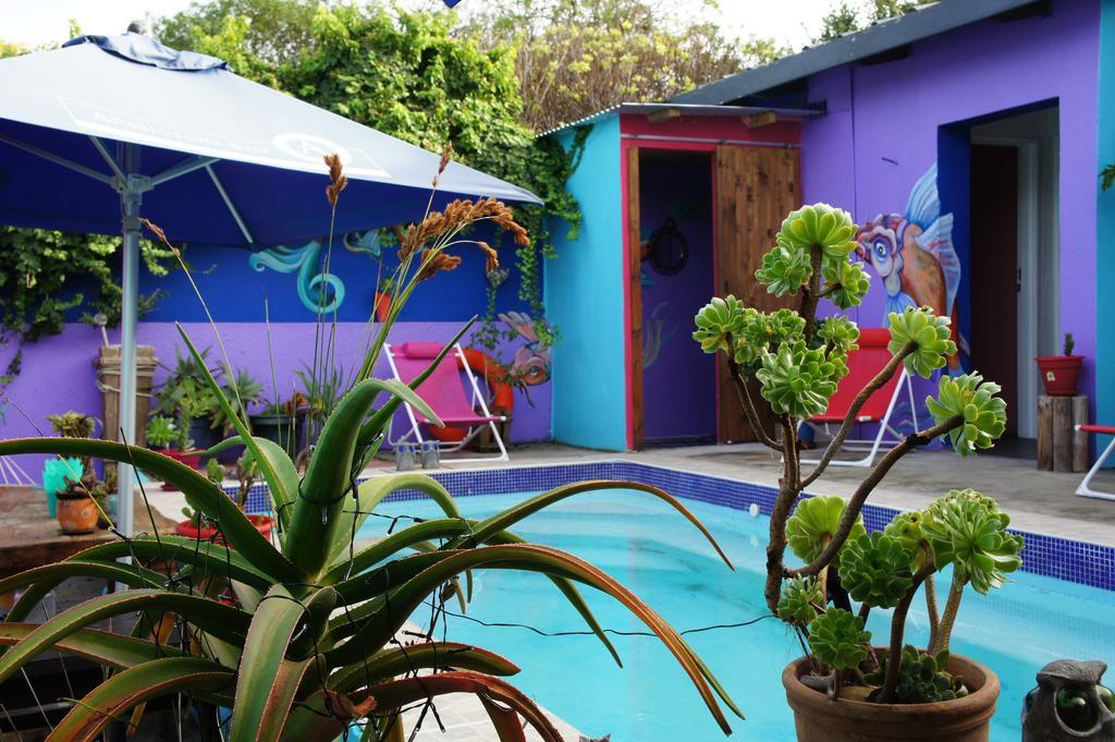 Cape Agulhas Backpackers Hostel Struisbaai Szoba fotó