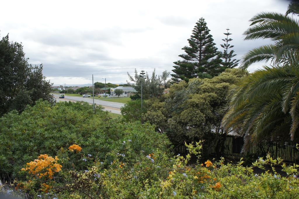 Cape Agulhas Backpackers Hostel Struisbaai Szoba fotó